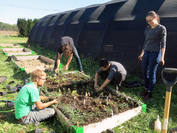 students planting in beds