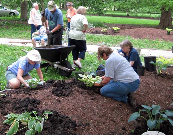 volunteers working in garden