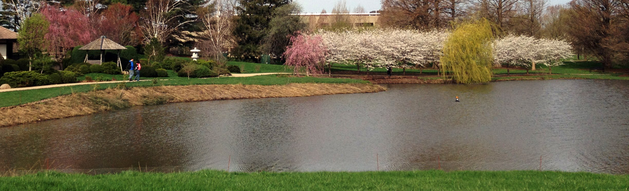 Photo of Arboretum Ponds